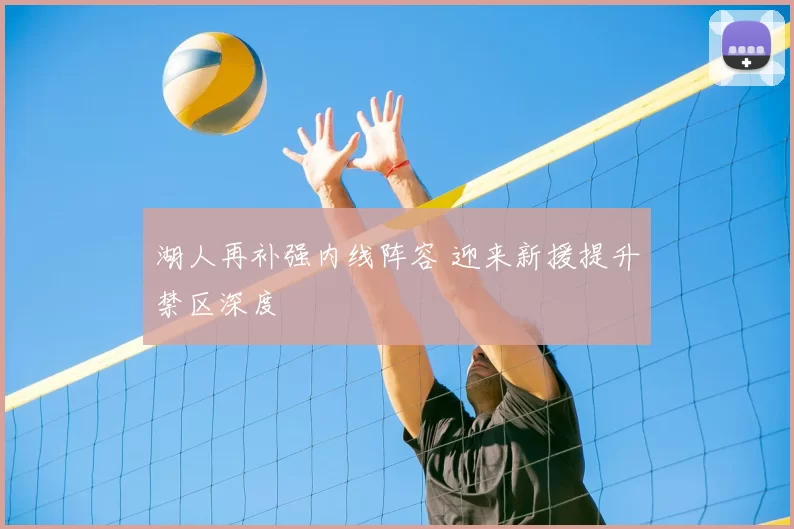 湖人再补强内线阵容 迎来新援提升禁区深度