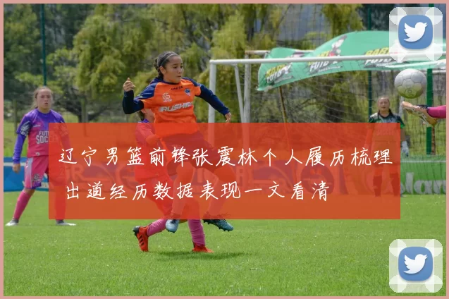 辽宁男篮前锋张震林个人履历梳理 出道经历数据表现一文看清
