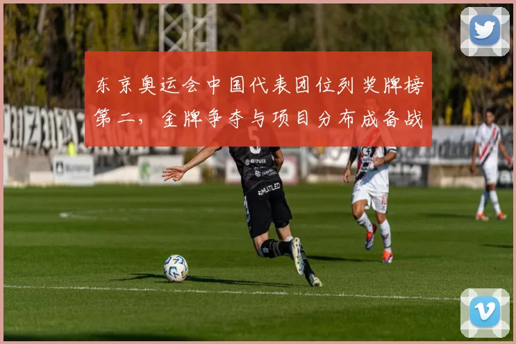 东京奥运会中国代表团位列奖牌榜第二，金牌争夺与项目分布成备战重点